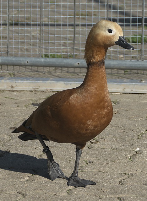 不断高涨